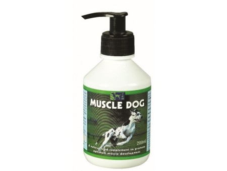 MUSCLE DOG